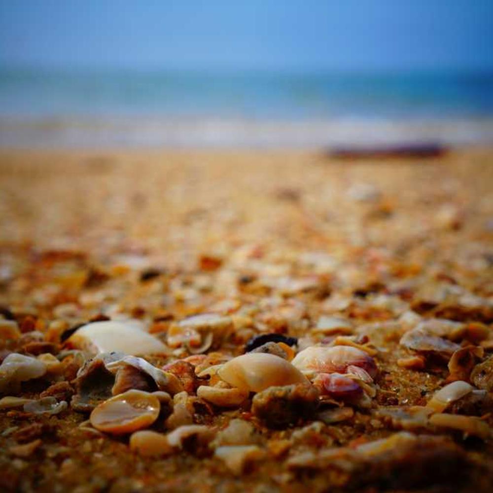 Authentic UGC-Style Product Integration Reel