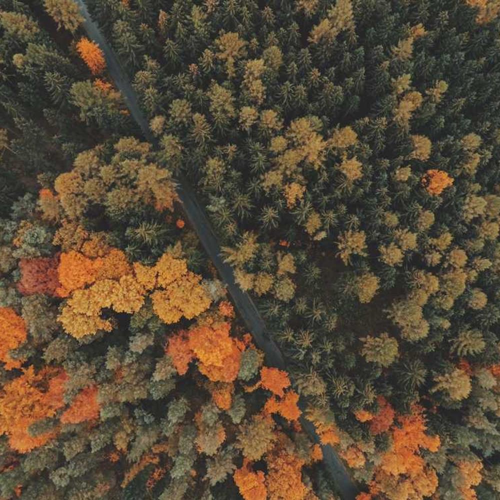 Authentic Southeast Asian Lifestyle Feed Post