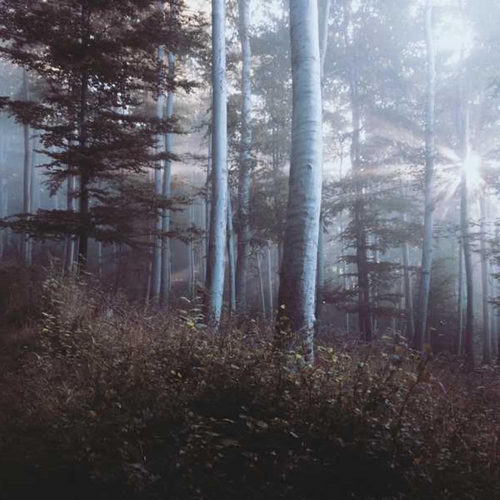 Instagram Stories for Authentic Reach in Indonesia