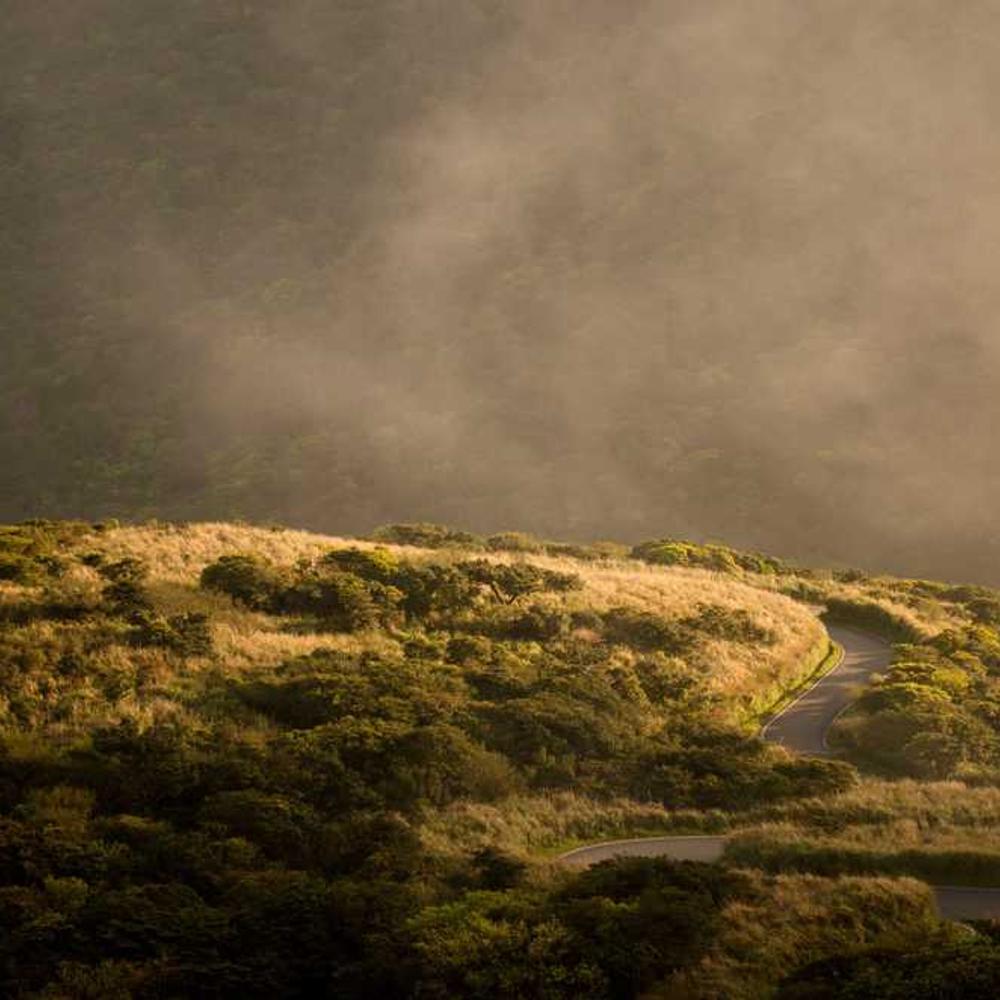 10+ Instagram Story Placements for Indonesian Audience