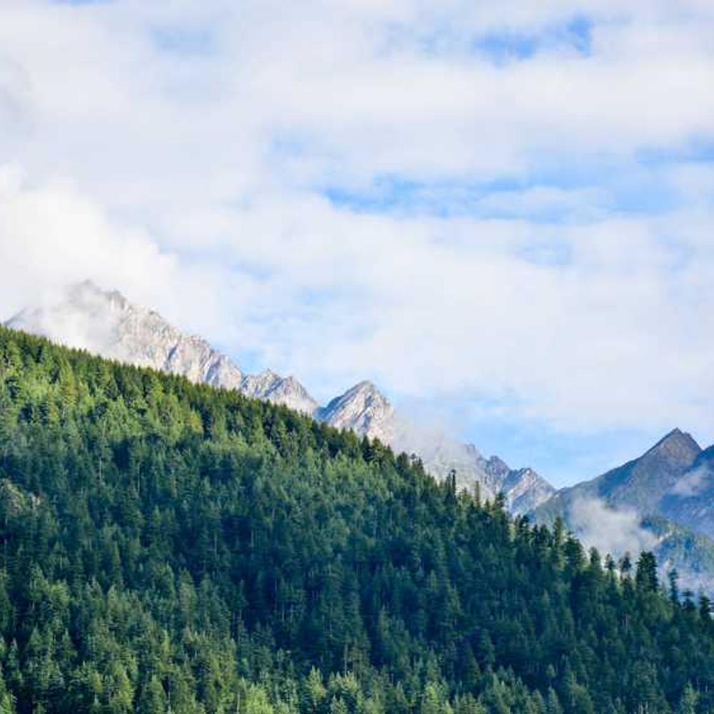 Co-Host an Authentic Live Brand Session