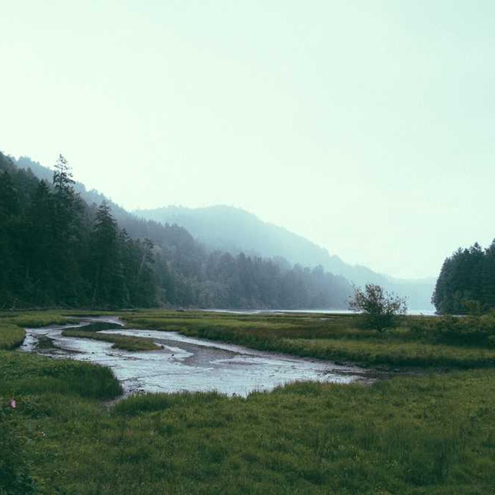 Authentic Instagram Reel for Indonesia