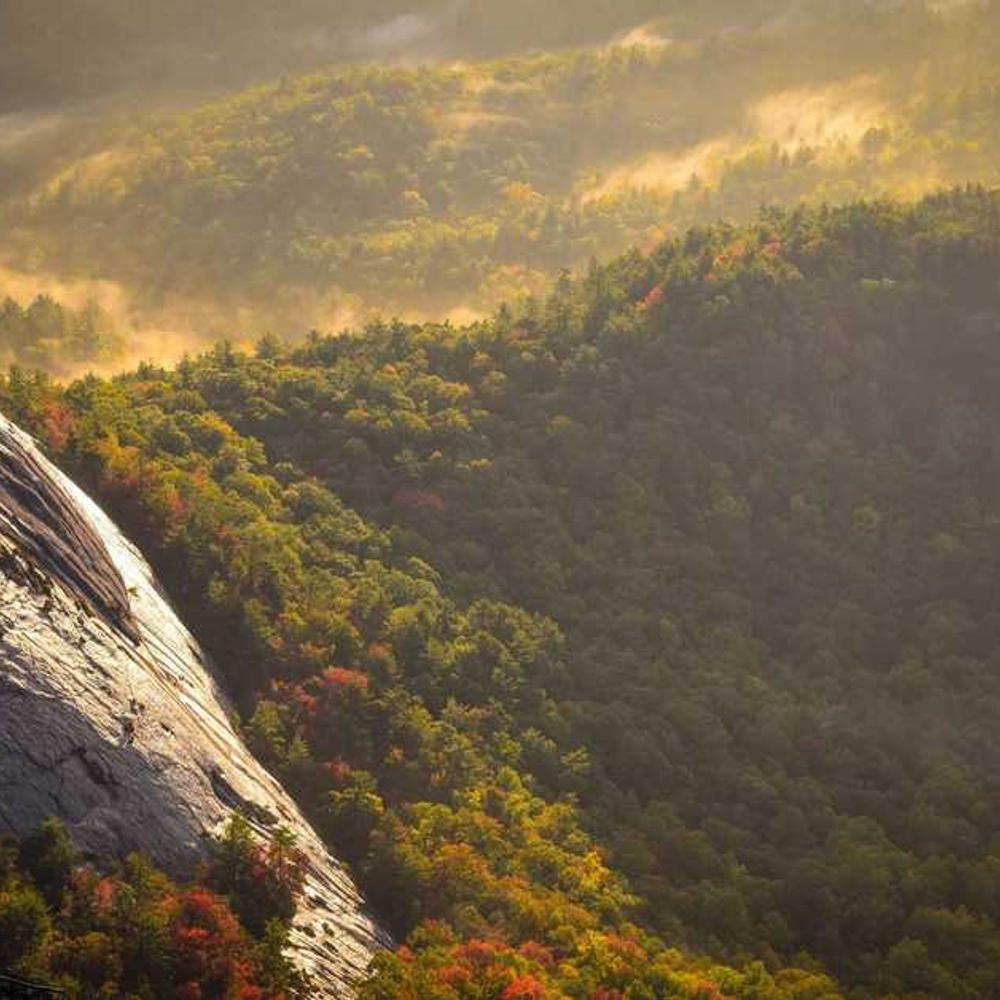 Authentic Bali Lifestyle Reels