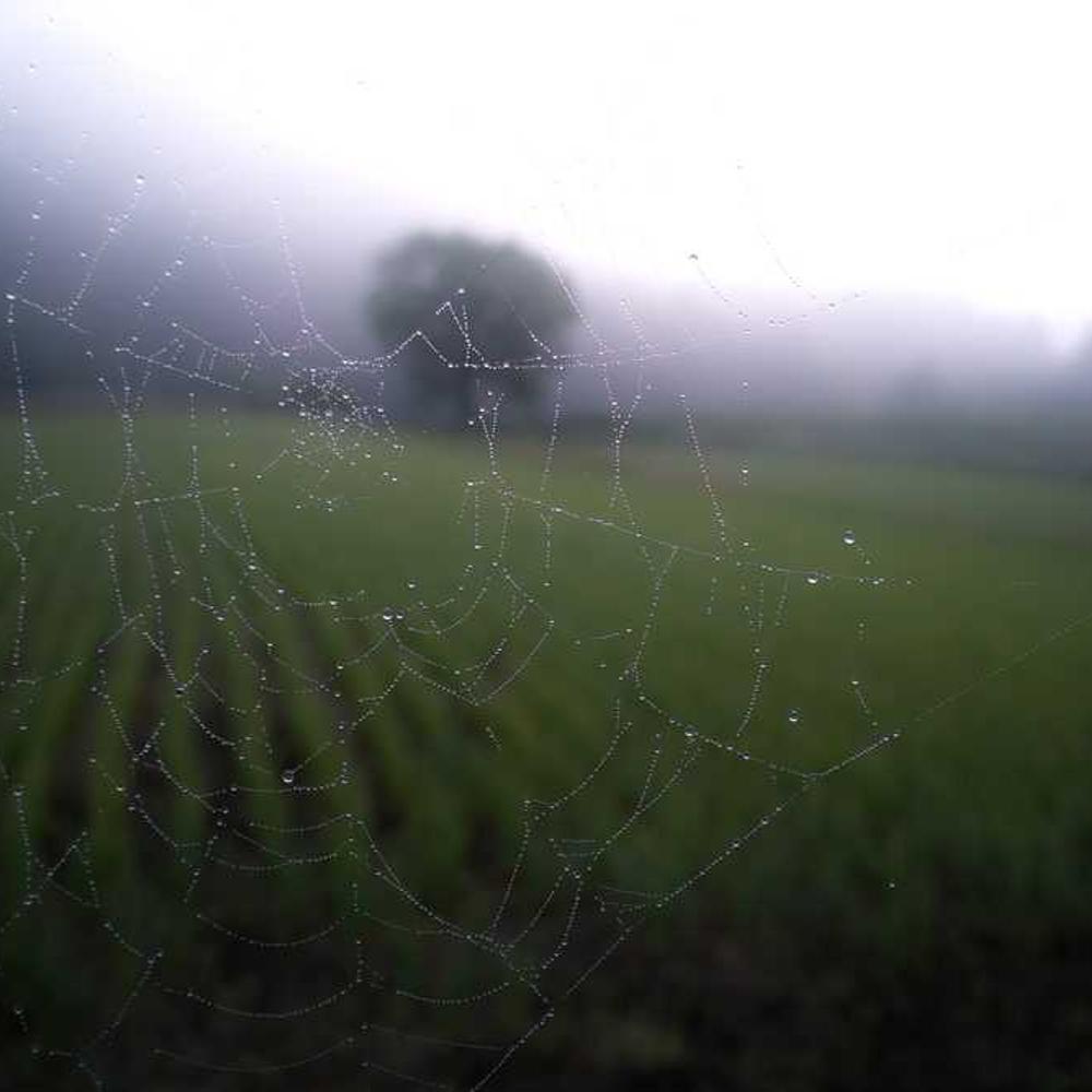 Brand Discovery Giveaway for Indonesian Audience