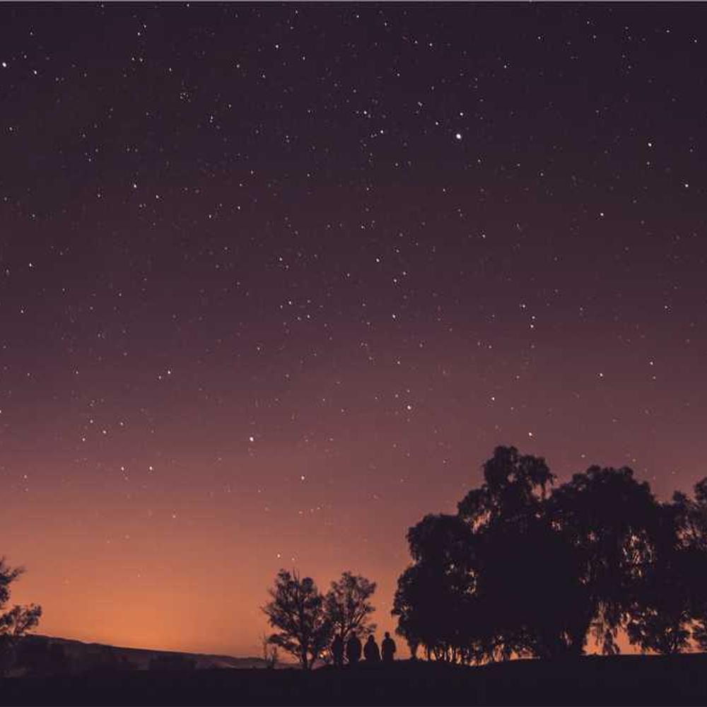 Authentic Instagram Reel for Brand Engagement