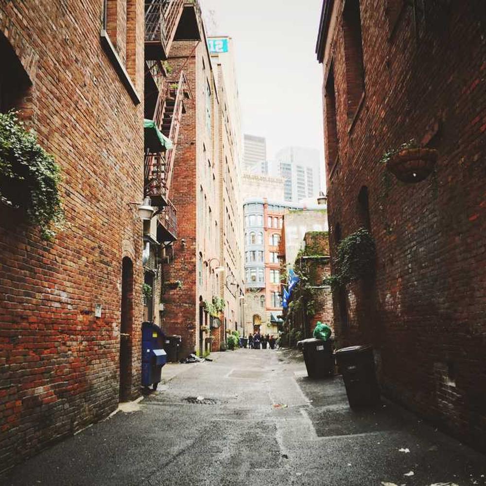 Co-Host an Instagram Live Session