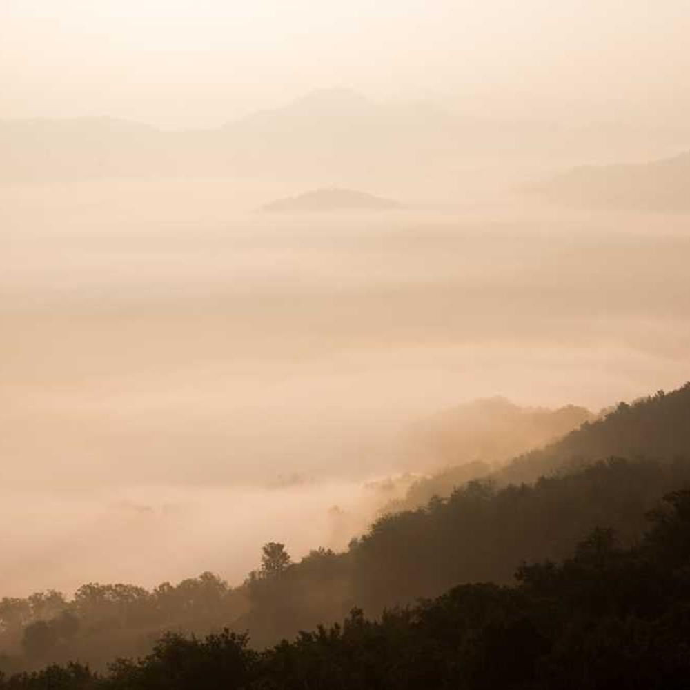 Authentic Brazilian Culture Campaign