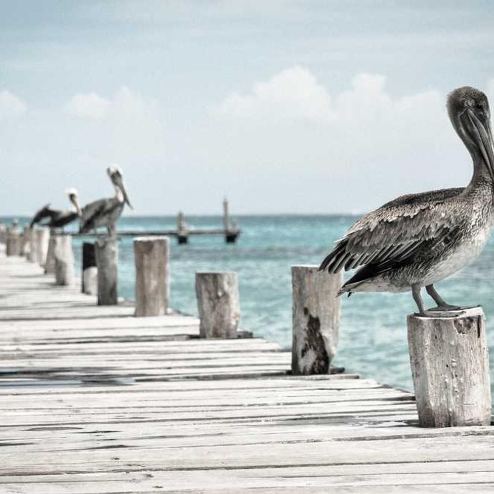 Authentic Filipino Lifestyle Reel