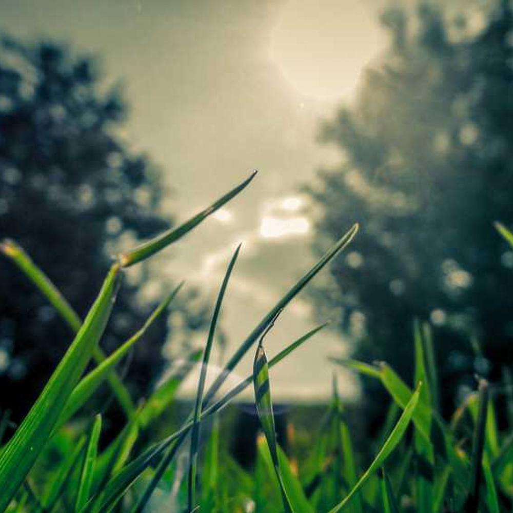 Live Instagram Shoutout to Kota's Youth