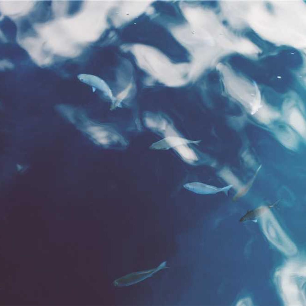 Brand Visibility in Guaíra via Instagram Reel