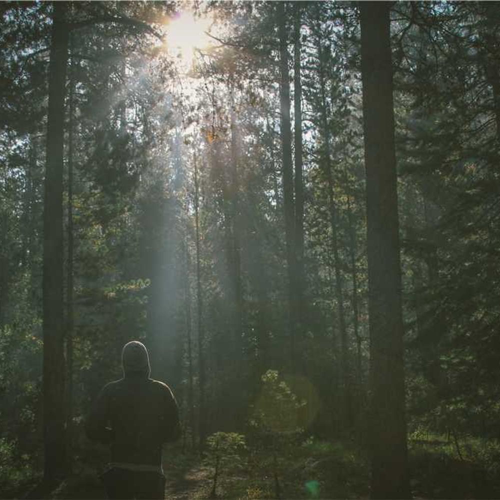 Tutorial Reel for Brazilian Audience