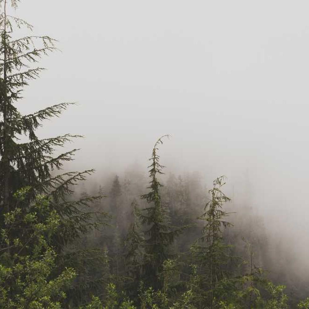 Carousel Post for Filipino Audience