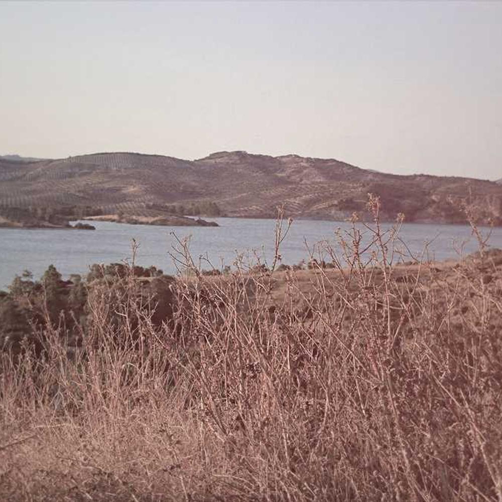 Strategic Facebook Giveaway Partnership