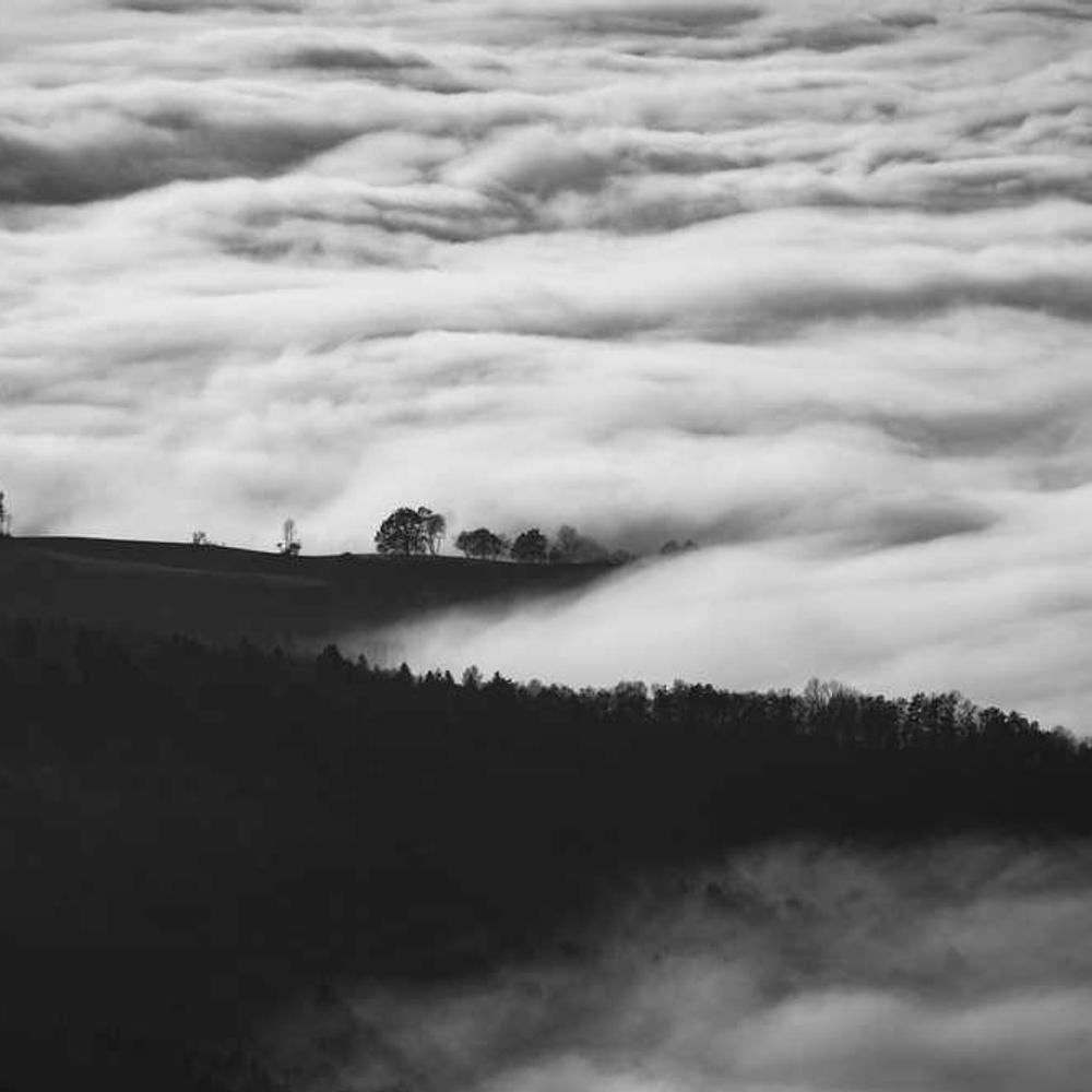 Co-host a Live Product Demo in West Java