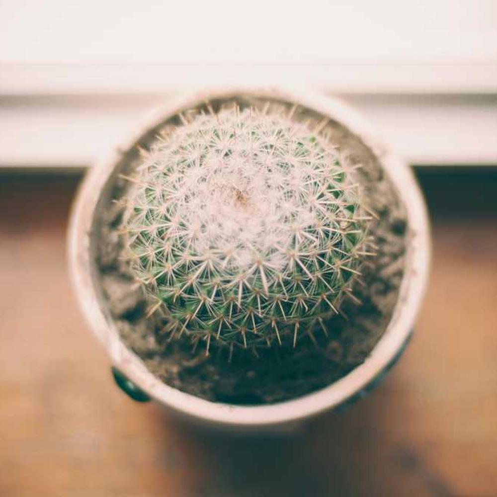 West Java Targeted Giveaway Package