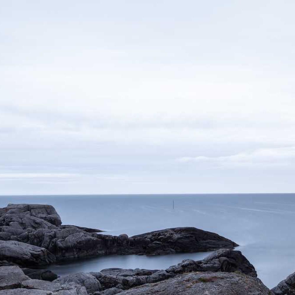 Authentic Brazilian Gen-Z Live Shoutout