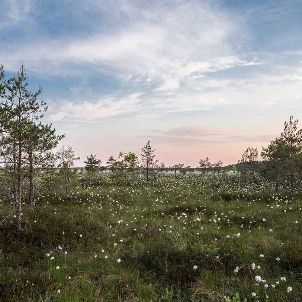 Parenting Influencer UGC Video Creation