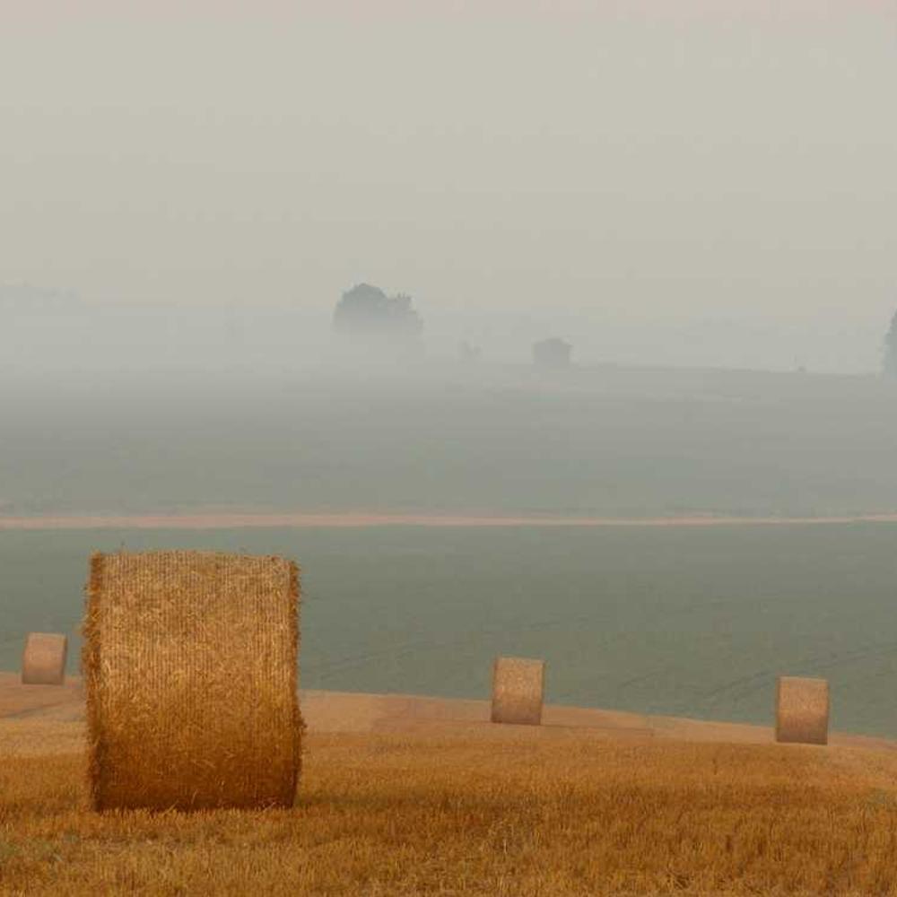 Authentic Coastal Lifestyle IG Live Mentions