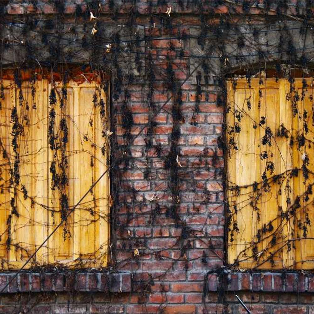 Dedicated Brand Integration Reel