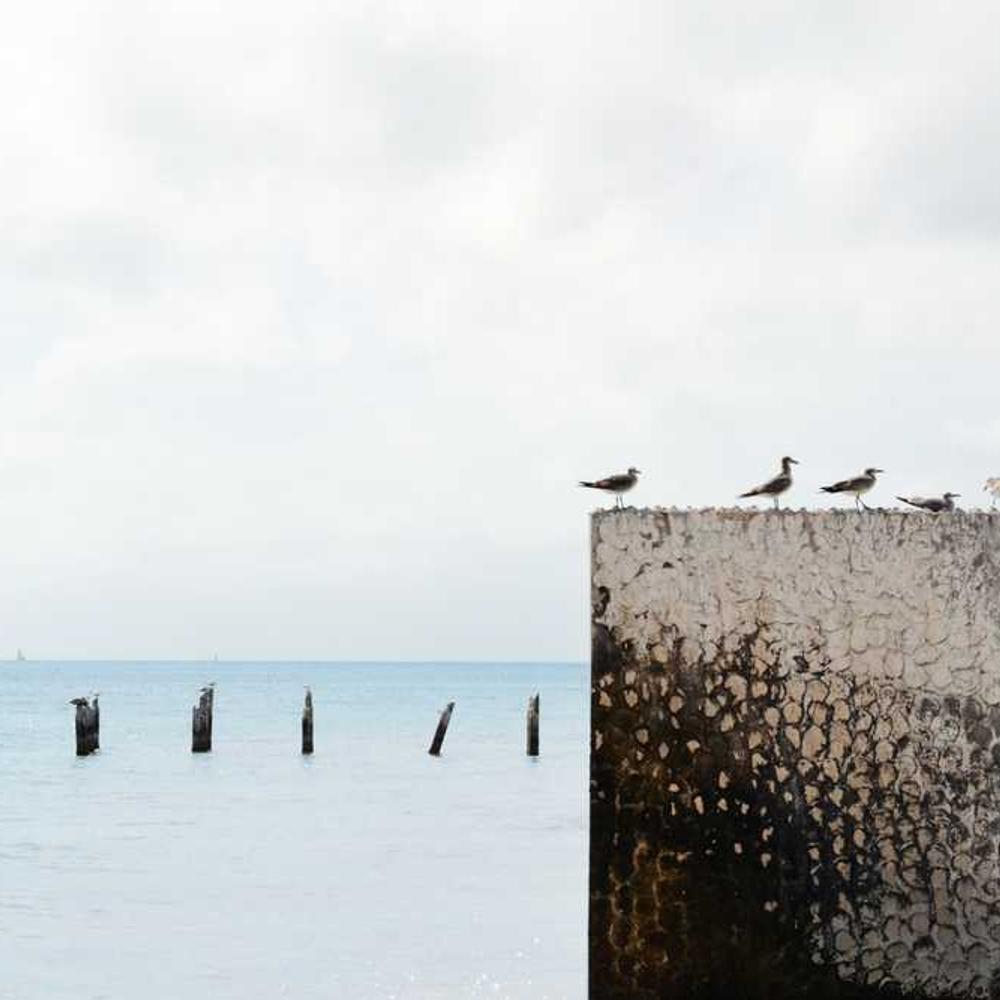 Coastal Storytelling Content Bundle