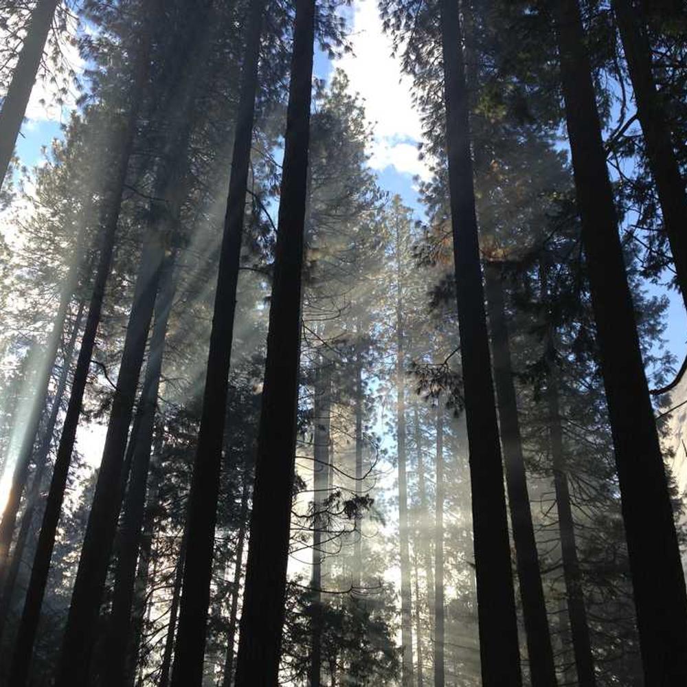 Single Reel Partnership for Beauty Content