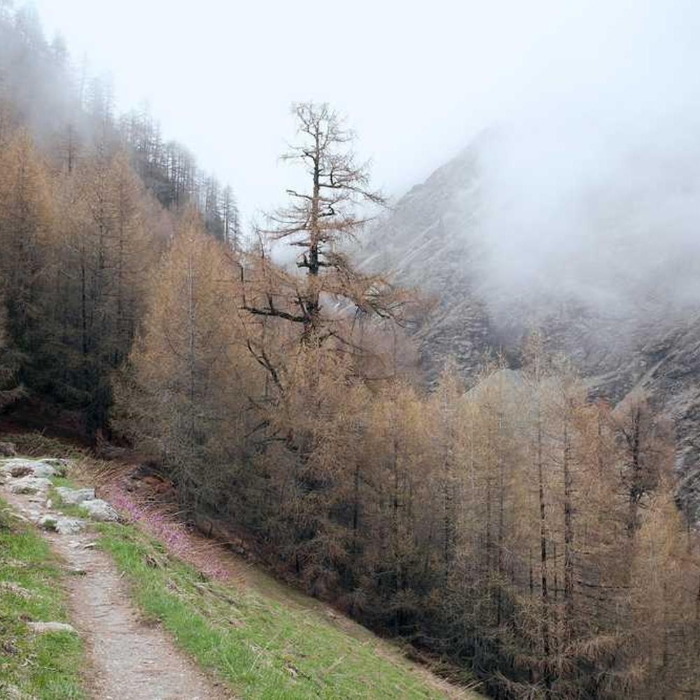 Authentic Bali Creator Reel