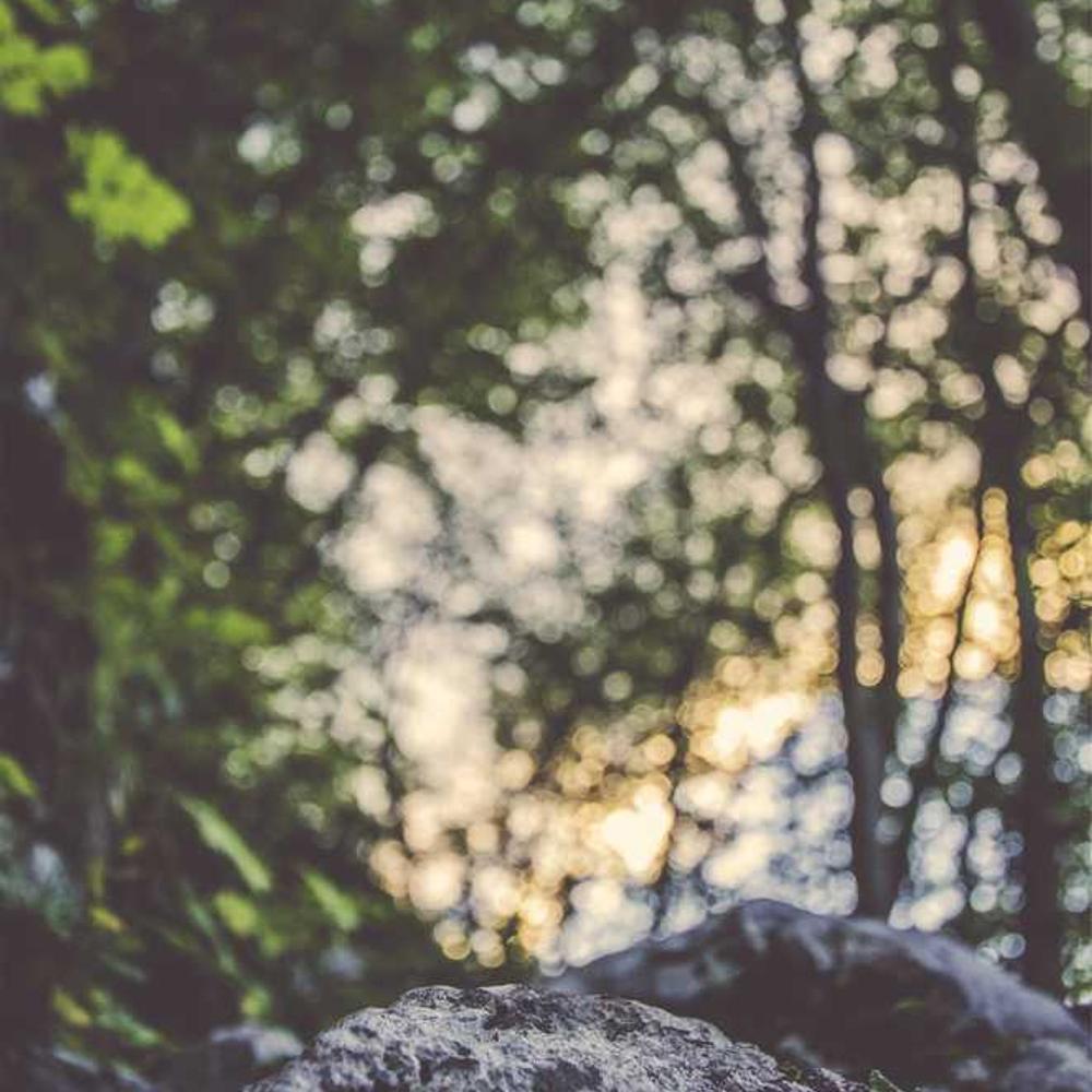 Authentic Instagram Stories for Indonesia