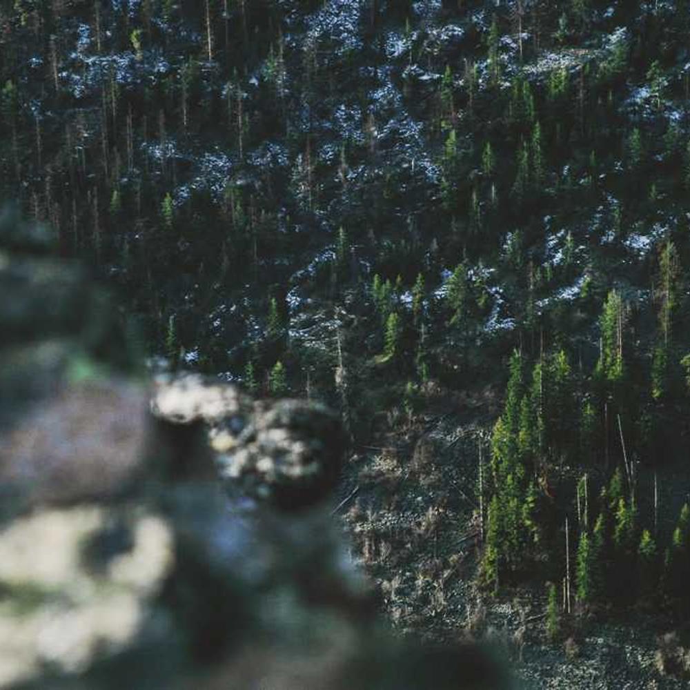 Authentic Kitchen Product Video