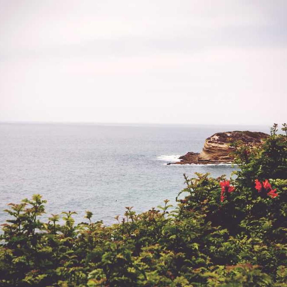 Instagram Bundle for Local Audience Engagement