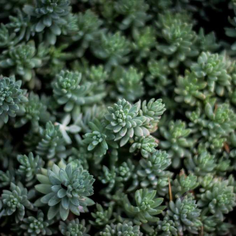 Exclusive 24-Hour Bali Story Takeover