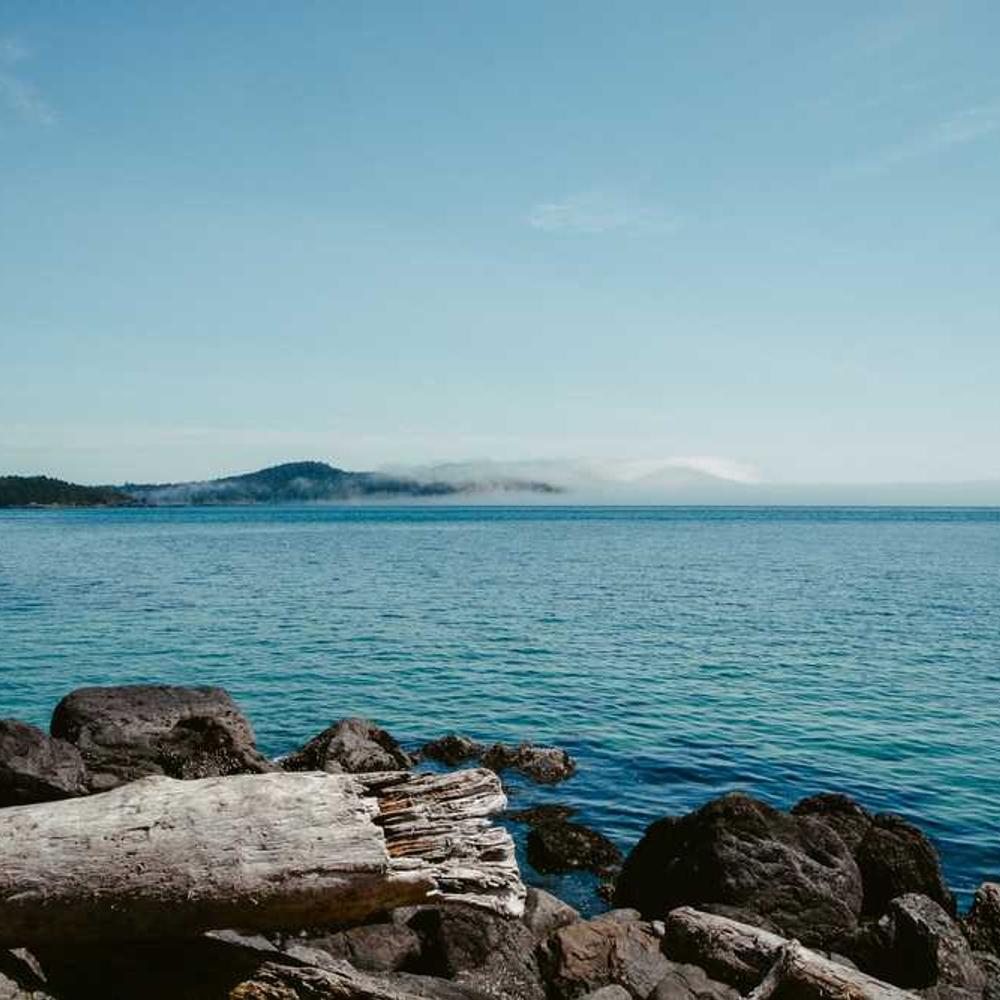 Authentic UGC-Style Product Integration Video