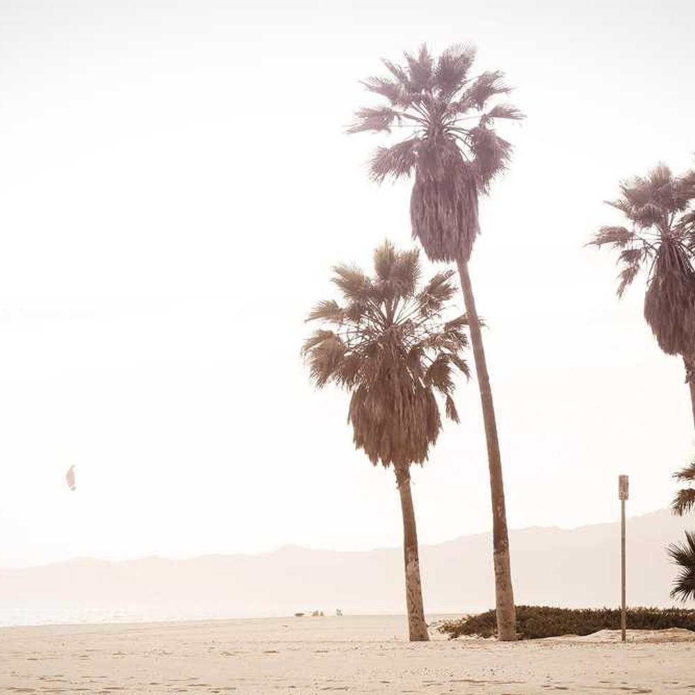 Authentic Reels for Brand Advocacy