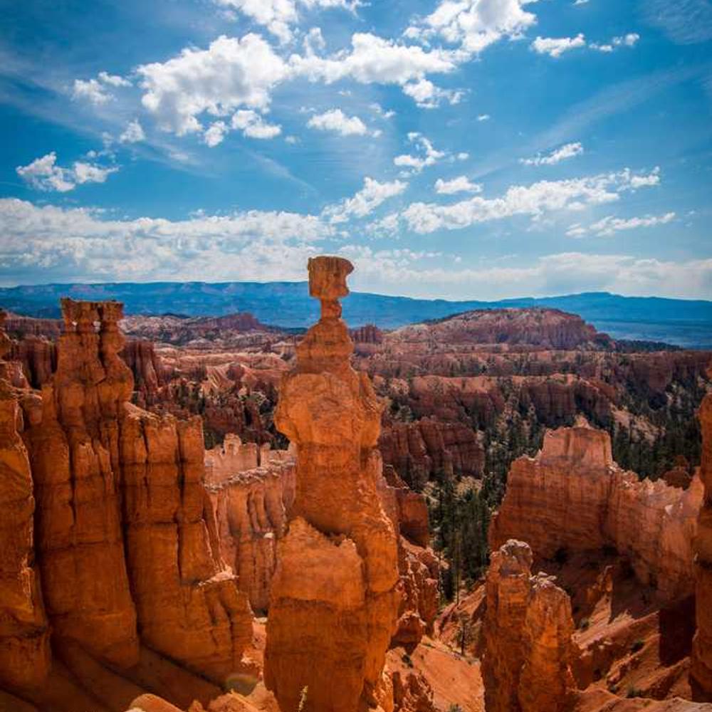 Instagram Live Shoutout to Indonesian Audience