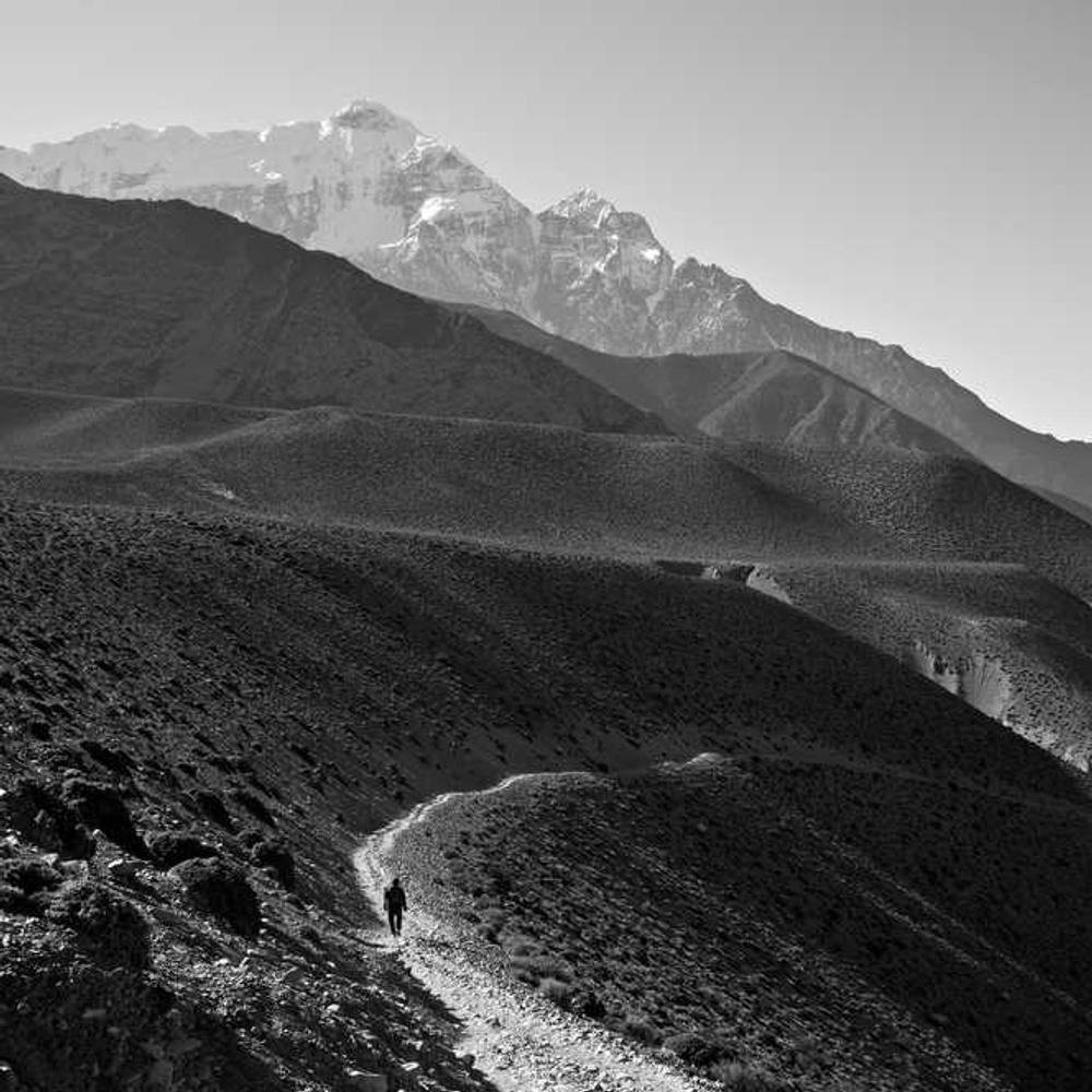 Brand Endorsement for Street Culture