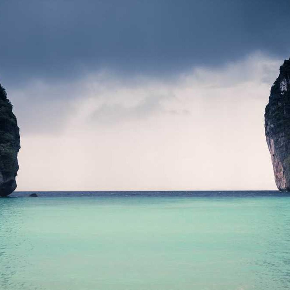 Co-Host a Live Brand Discussion