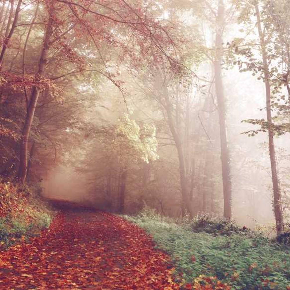 Product Tutorials for Indonesian Families