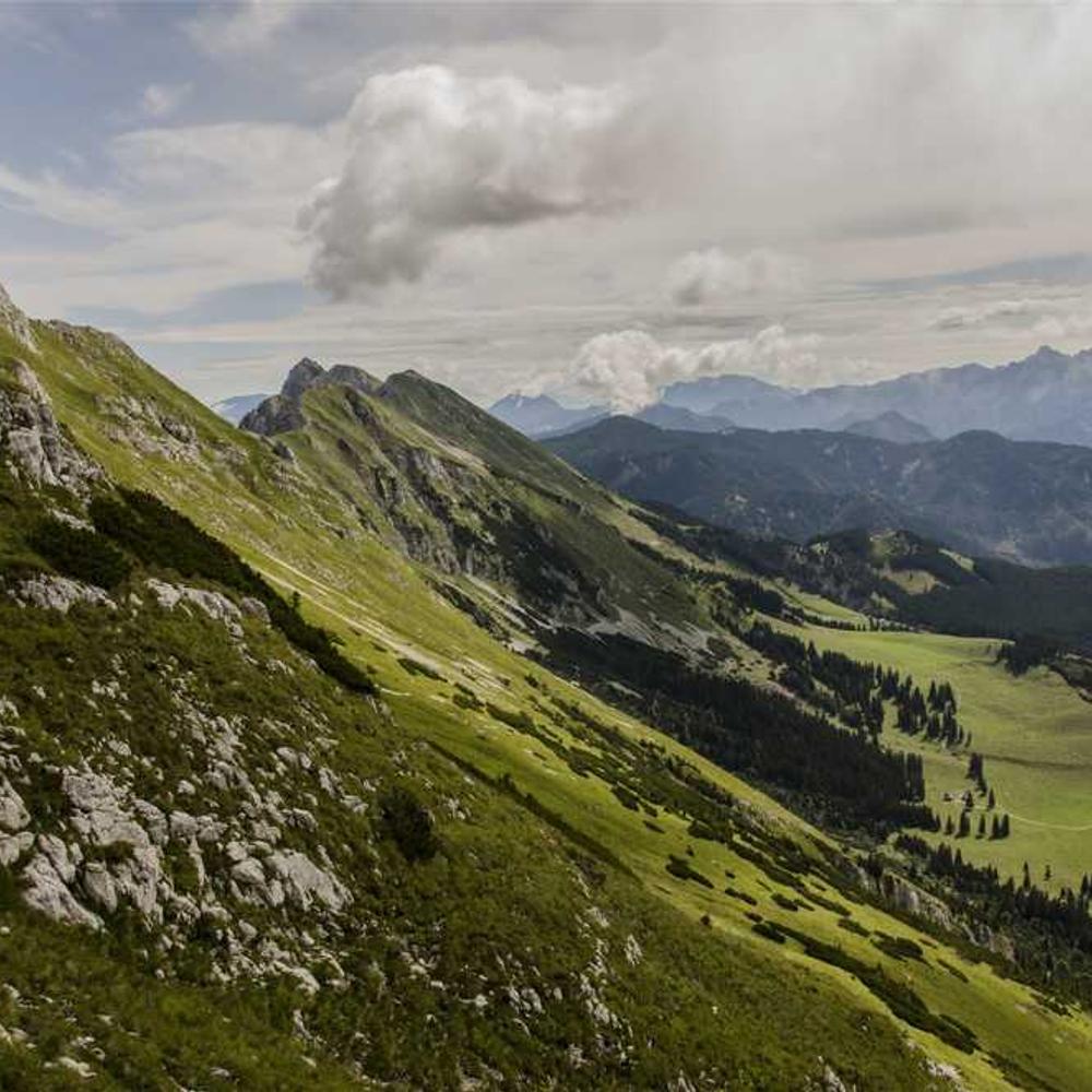 Authentic Island Lifestyle Feed Post Collaboration