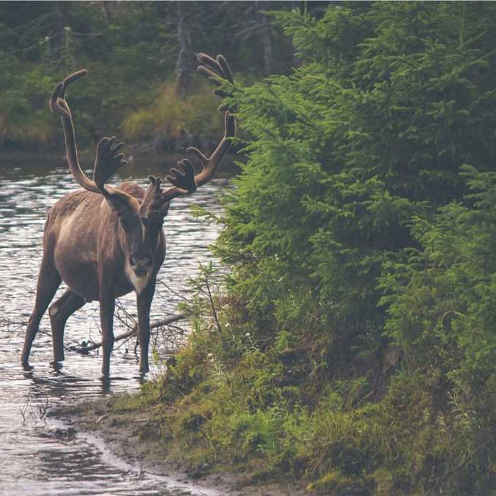 Authentic Filipino Lifestyle Product Showcase
