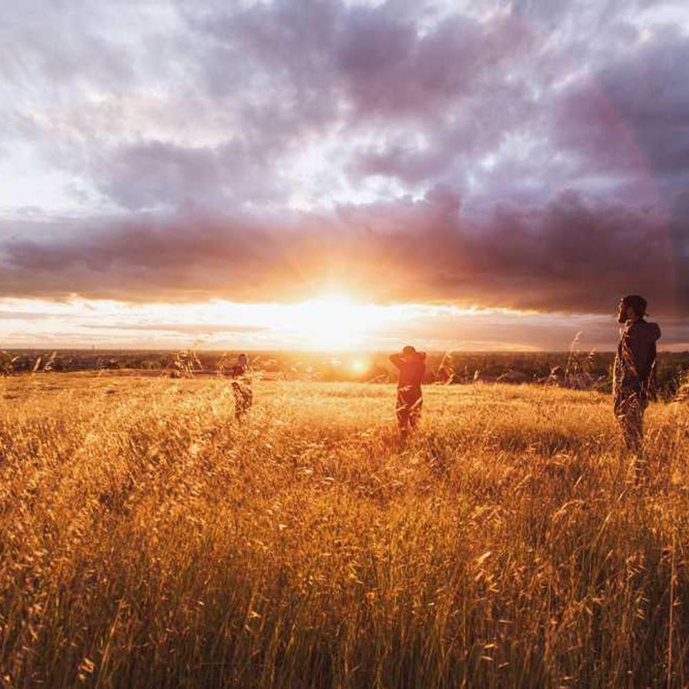 Family Storytelling Brand Integration