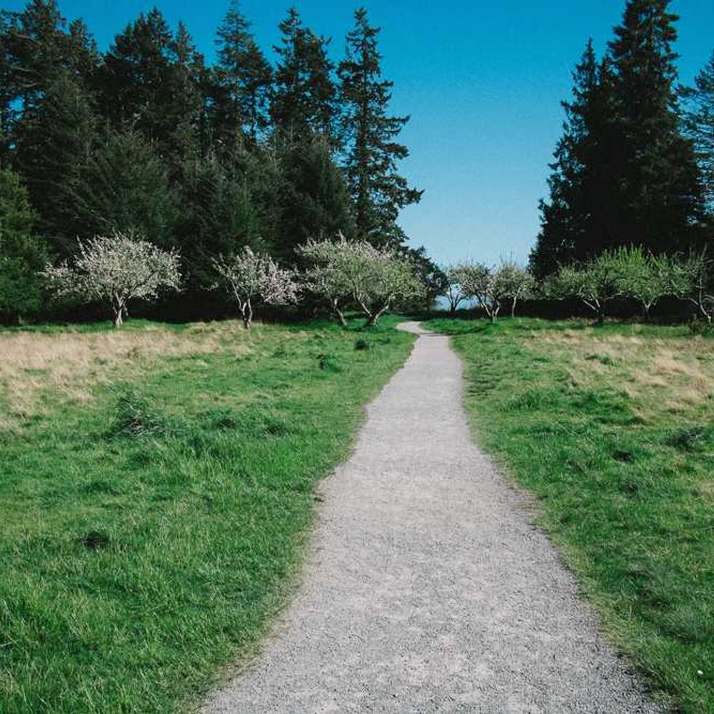 Authentic Brand Storytelling in Indonesia