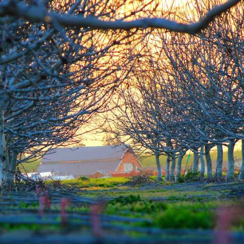 Instagram Live Mention for Philippine Audience