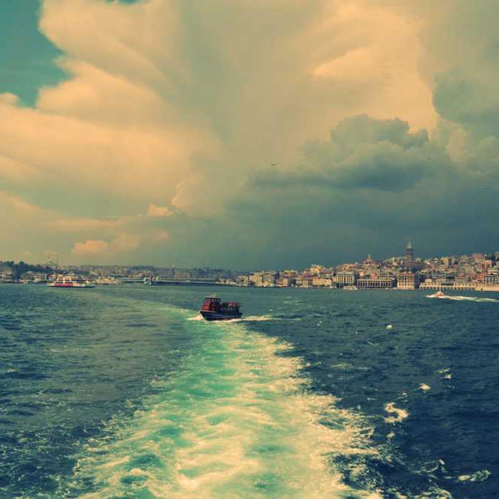 Authentic TikTok Live Mentions