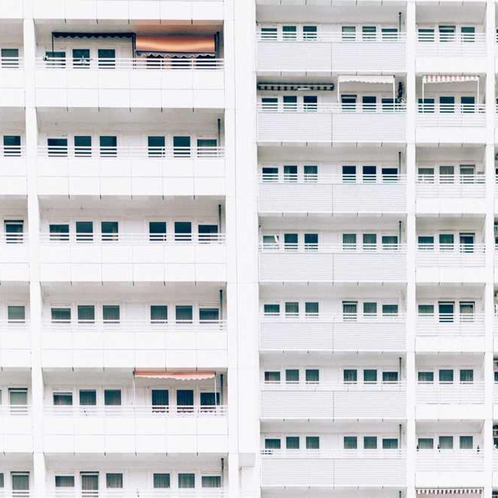 Authentic Northeast Brazil Storytelling Partnership