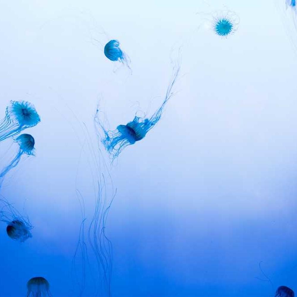 10+ Full-Day Instagram Story Placements