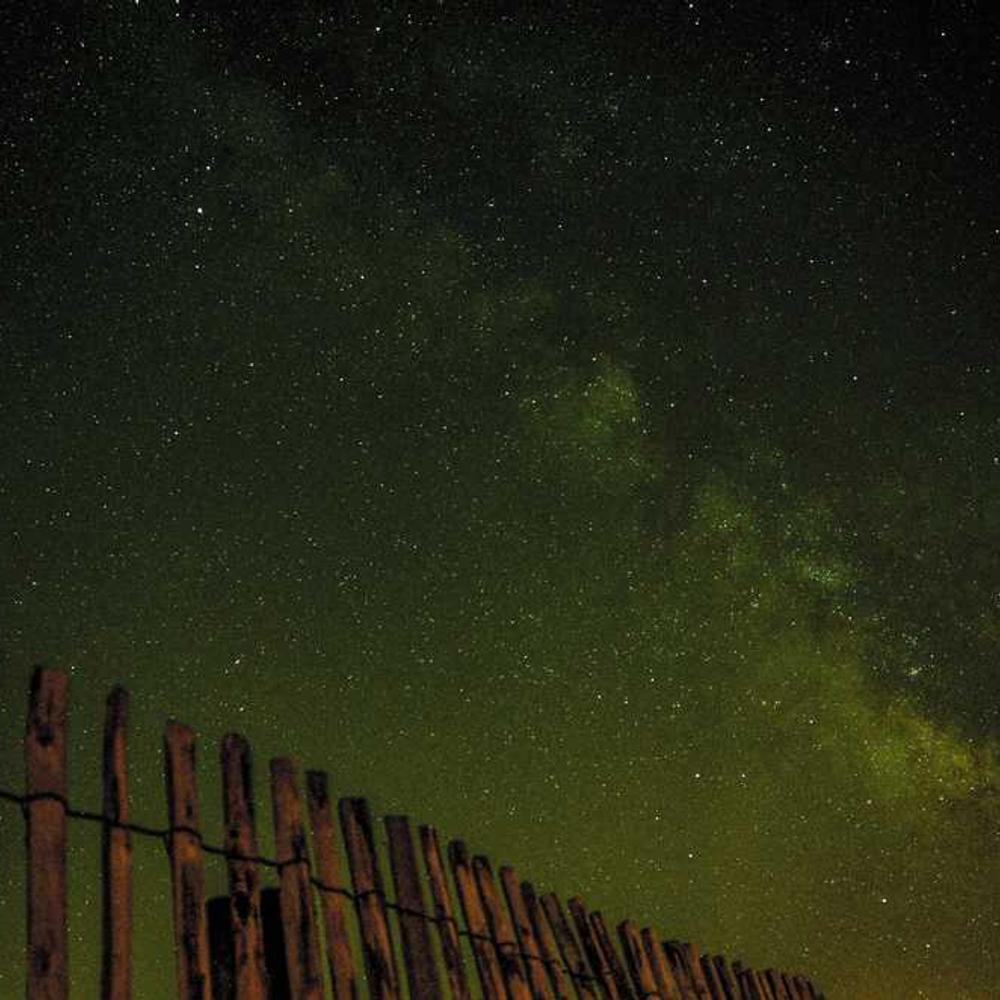 Authentic Product Placement Reels