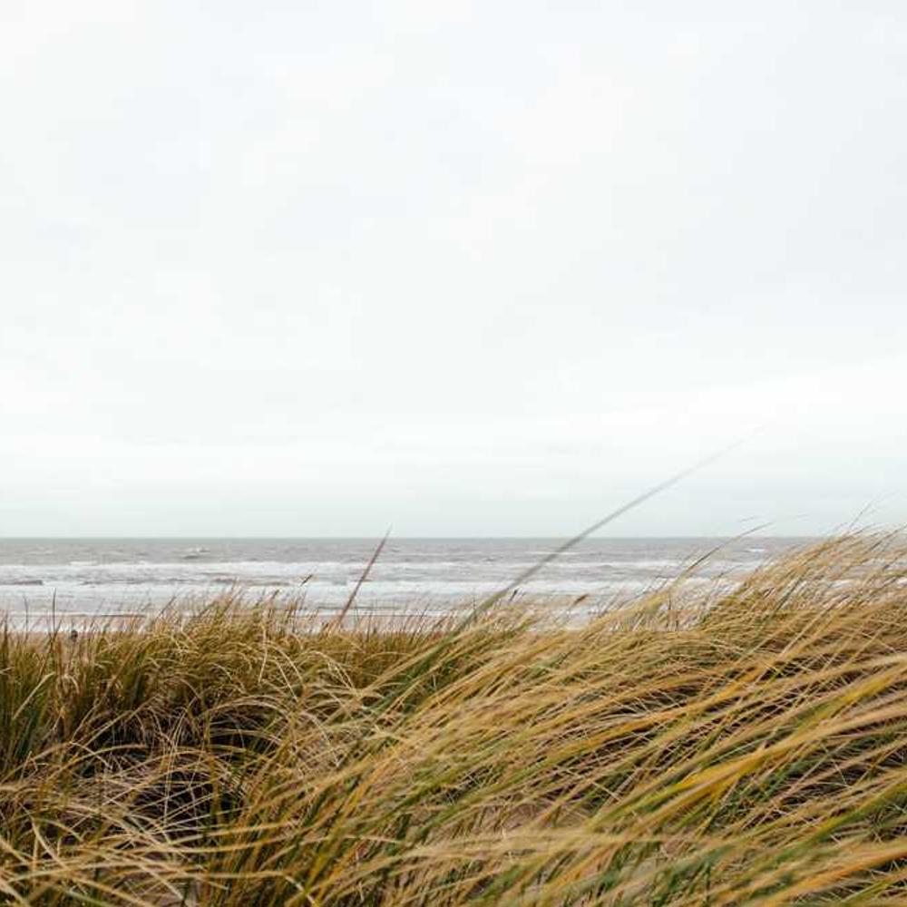 Wellness Content Bundle for Brands