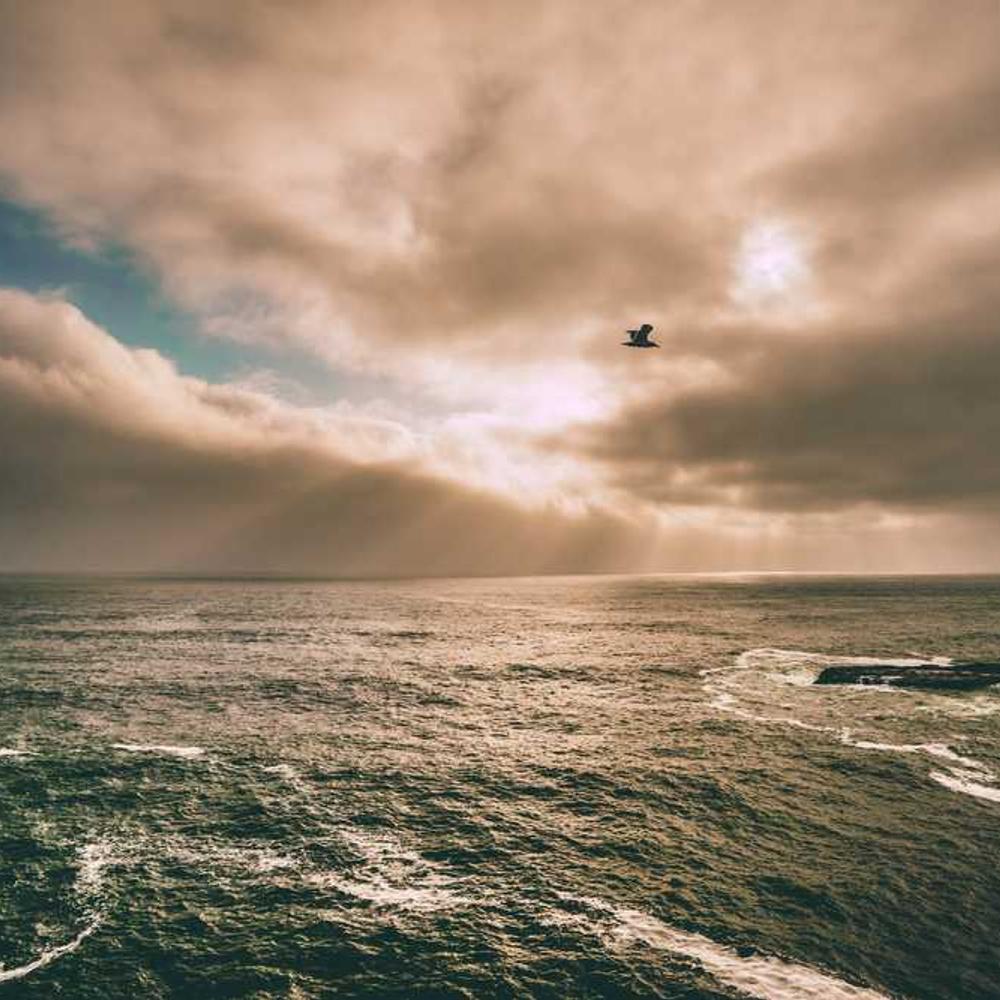 Genuine Community Influencer Repost