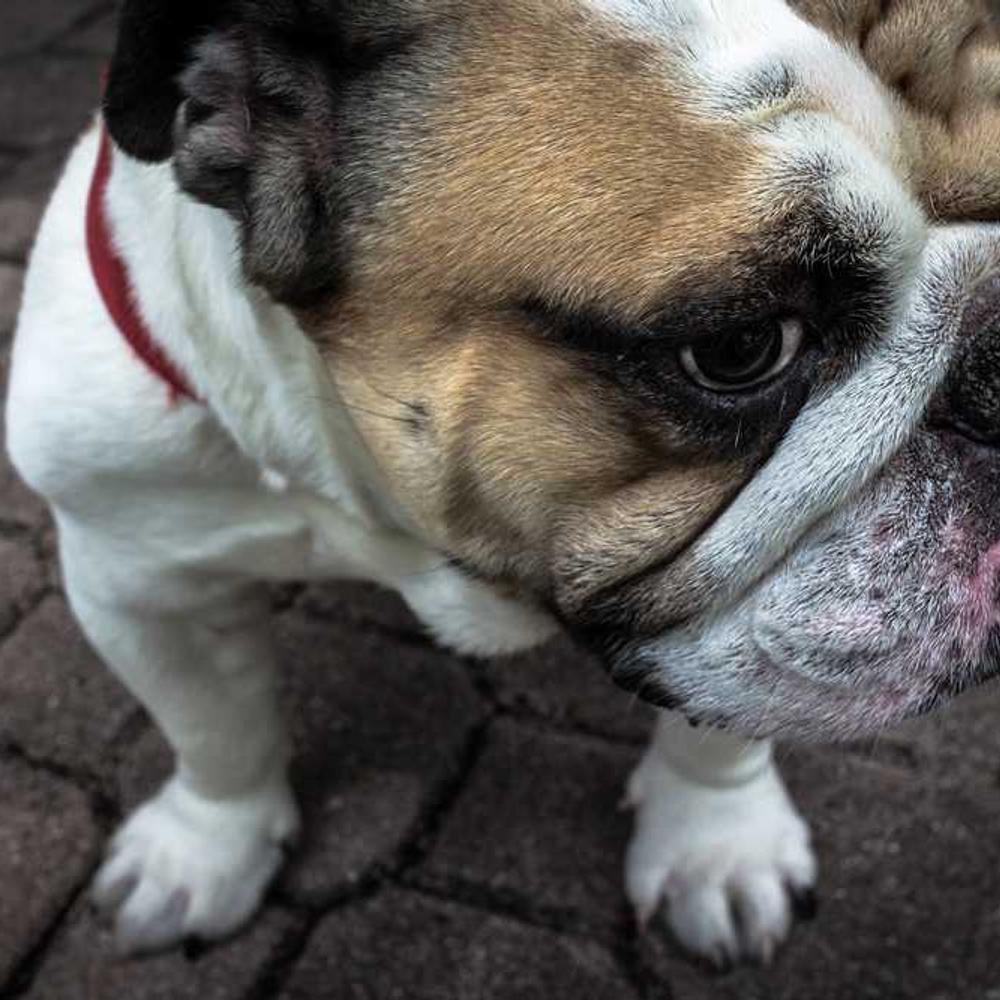 24-Hour Instagram Story Takeover