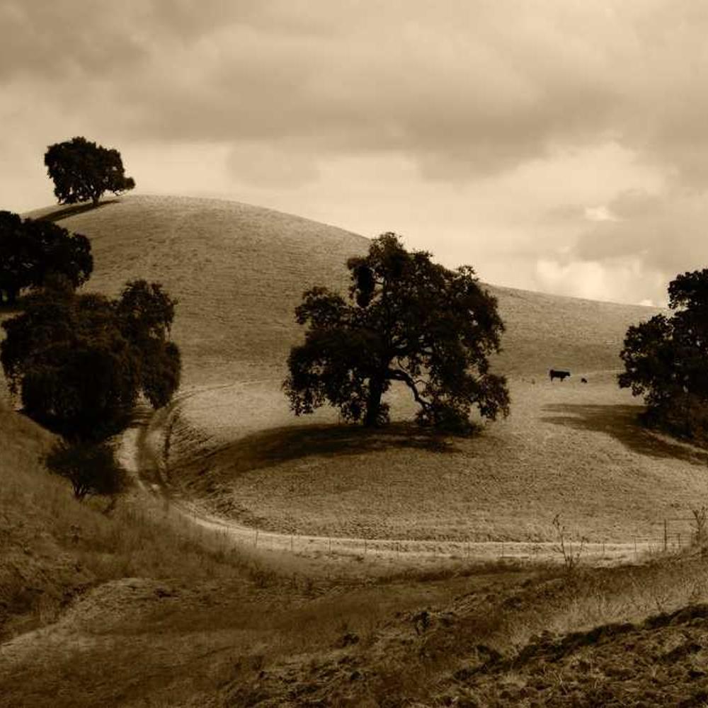 Philippines Audience Giveaway Video