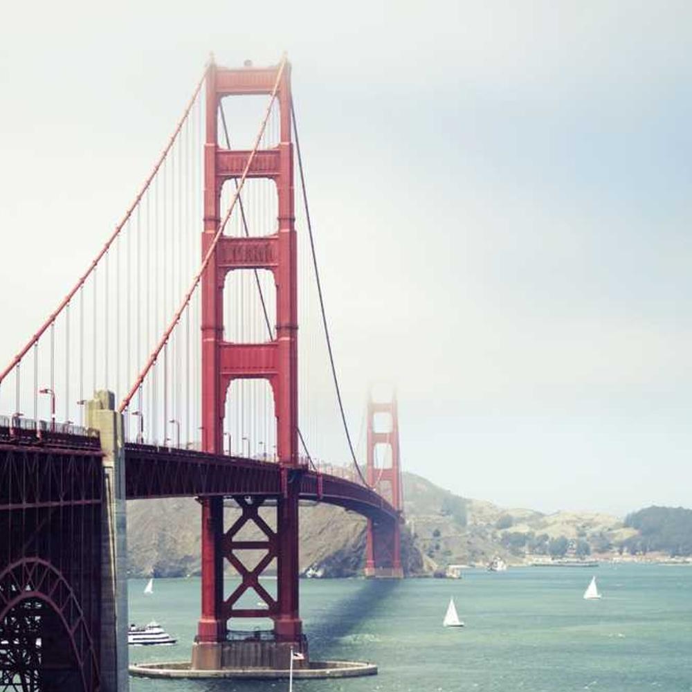 Authentic Family Product Reviews